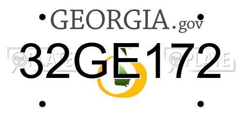 32GE172 Georgia License Plate