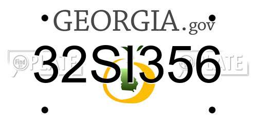 32SI356 Georgia License Plate