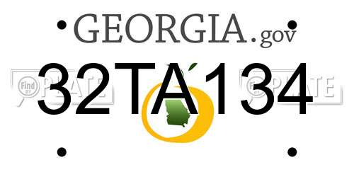 32TA134 Georgia License Plate