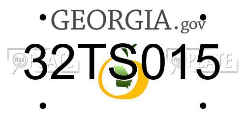 32TS015 Georgia License Plate