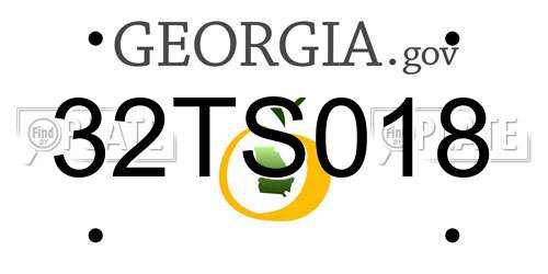 32TS018 Georgia License Plate
