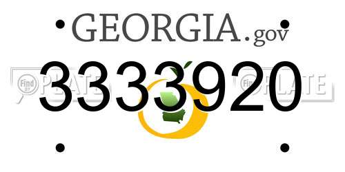 3333920 Georgia License Plate