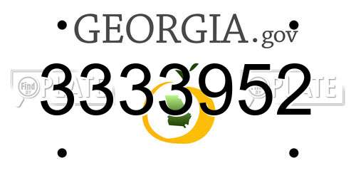 3333952 Georgia License Plate