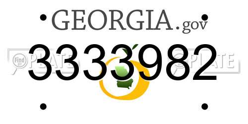 3333982 Georgia License Plate