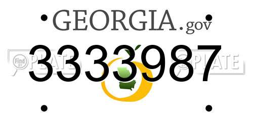 3333987 Georgia License Plate