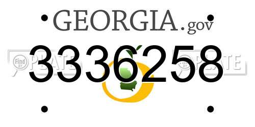 3336258 Georgia License Plate