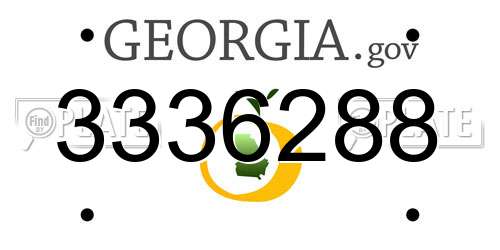 3336288 Georgia License Plate