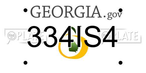 334IS4 Georgia License Plate