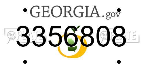 3356808 Georgia License Plate
