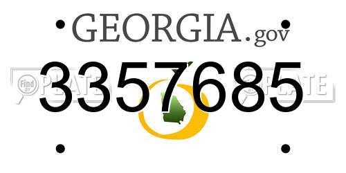 3357685 Georgia License Plate