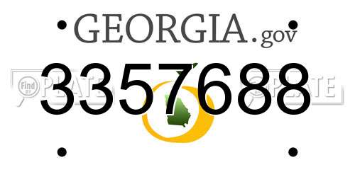 3357688 Georgia License Plate