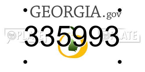 335993 Georgia License Plate