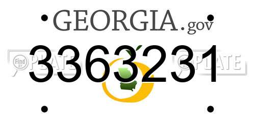 3363231 Georgia License Plate