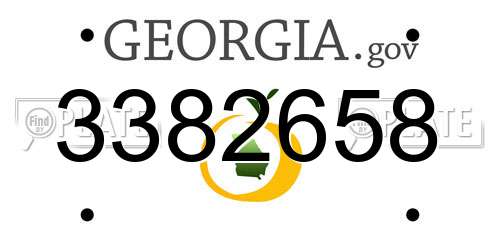 3382658 Georgia License Plate