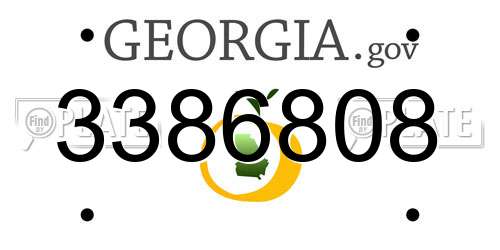 3386808 Georgia License Plate