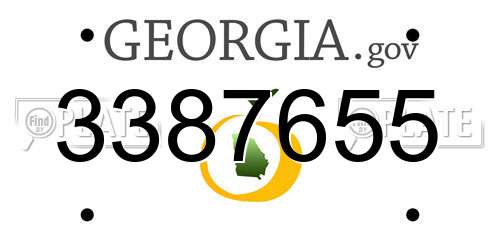 3387655 Georgia License Plate