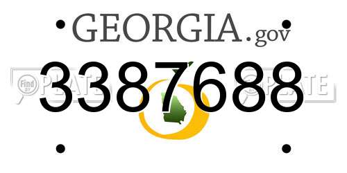 3387688 Georgia License Plate