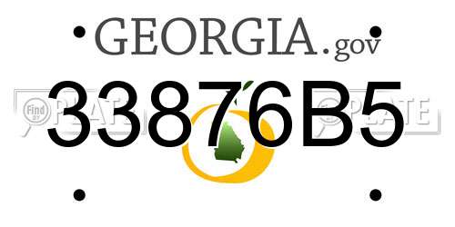 33876B5 Georgia License Plate