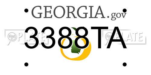 3388TA Georgia License Plate