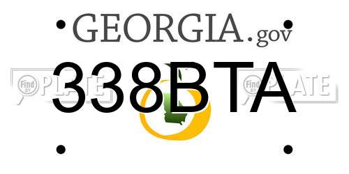 338BTA Georgia License Plate