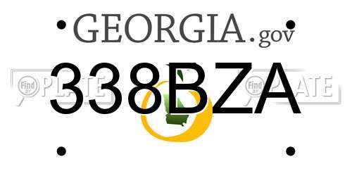 338BZA Georgia License Plate