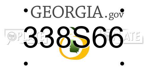 338S66 Georgia License Plate