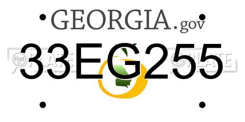 33EG255 Georgia License Plate
