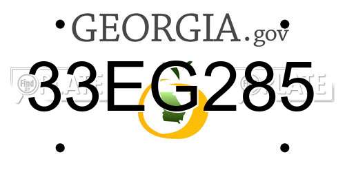 33EG285 Georgia License Plate