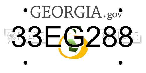 33EG288 Georgia License Plate