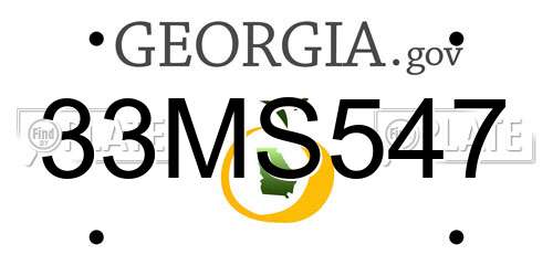 33MS547 Georgia License Plate