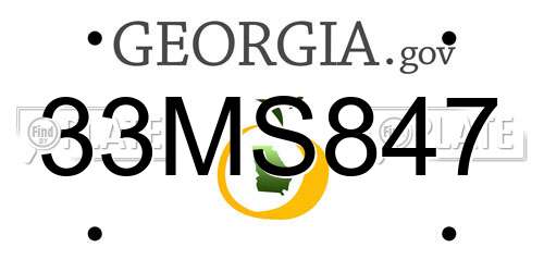 33MS847 Georgia License Plate