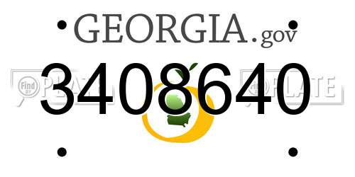 3408640 Georgia License Plate