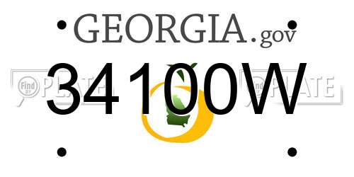 34100W Georgia License Plate
