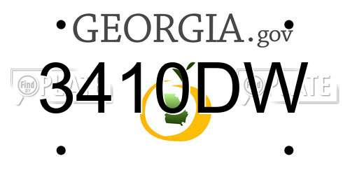 3410DW Georgia License Plate