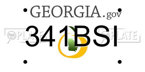 341BSI Georgia License Plate