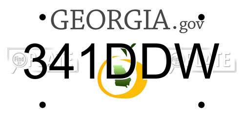 341DDW Georgia License Plate