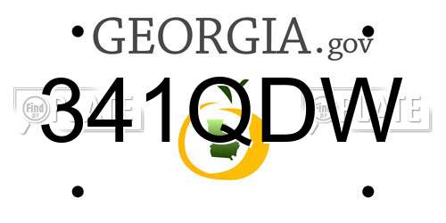 341QDW Georgia License Plate