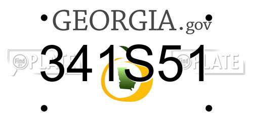 341S51 Georgia License Plate
