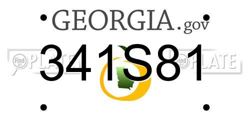 341S81 Georgia License Plate