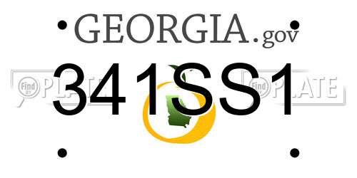 341SS1 Georgia License Plate
