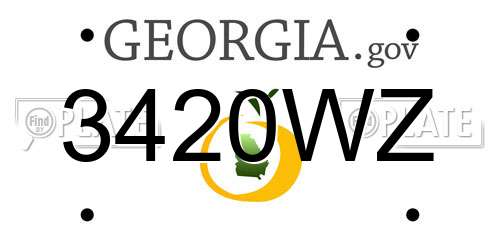 3420WZ Georgia License Plate