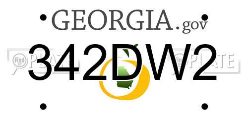 342DW2 Georgia License Plate