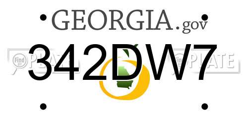 342DW7 Georgia License Plate