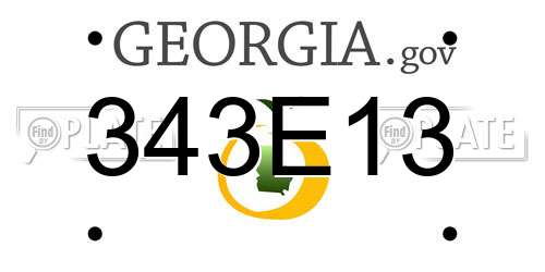 343E13 Georgia License Plate