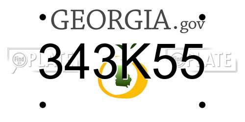 343K55 Georgia License Plate
