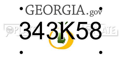 343K58 Georgia License Plate