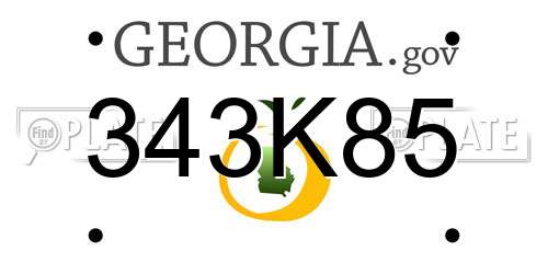 343K85 Georgia License Plate