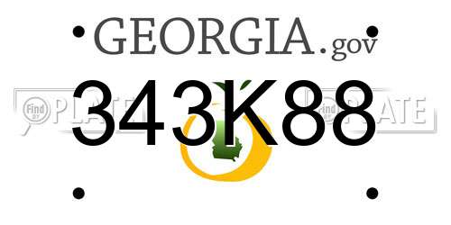 343K88 Georgia License Plate