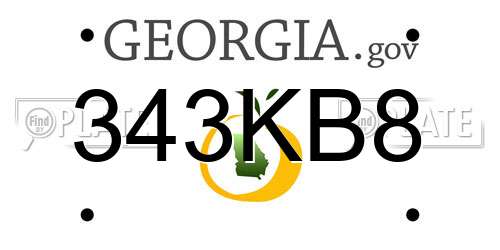 343KB8 Georgia License Plate