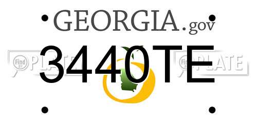 3440TE Georgia License Plate